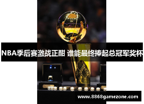 NBA季后赛激战正酣 谁能最终捧起总冠军奖杯