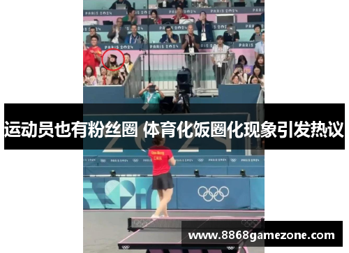 运动员也有粉丝圈 体育化饭圈化现象引发热议