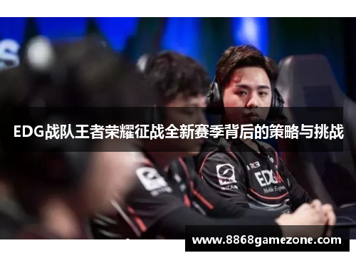 EDG战队王者荣耀征战全新赛季背后的策略与挑战