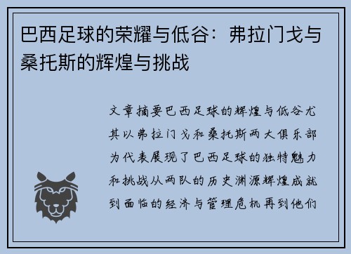 巴西足球的荣耀与低谷：弗拉门戈与桑托斯的辉煌与挑战